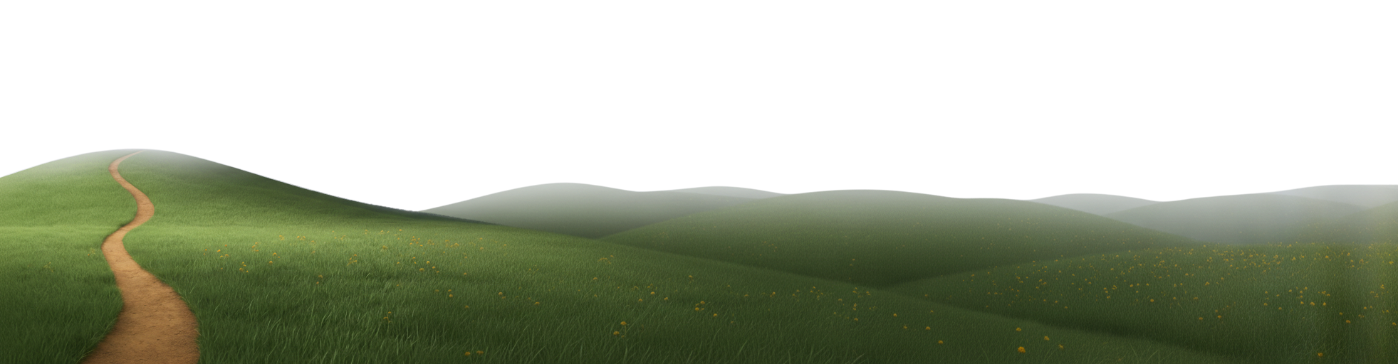 Field Background